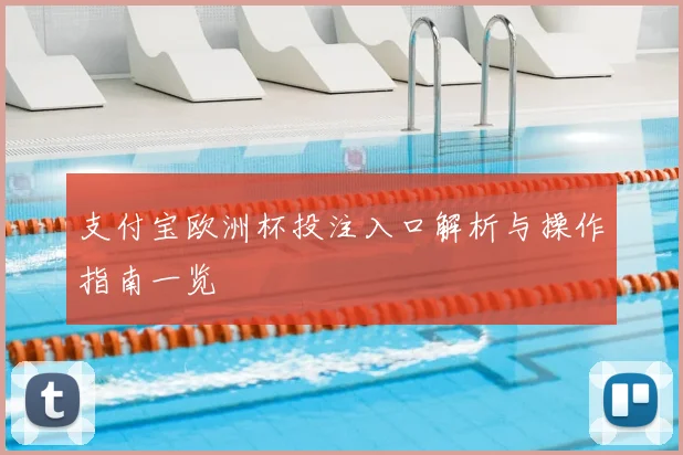 支付宝欧洲杯投注入口解析与操作指南一览