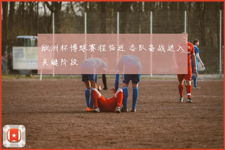 欧洲杯博球赛程临近 各队备战进入关键阶段